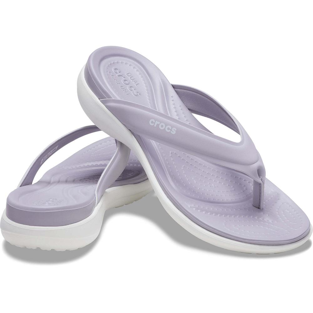 Crocs Capri V Sporty Mor | TCVSXD890