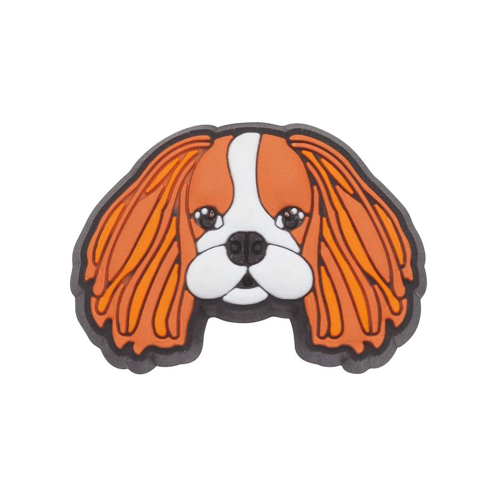 Crocs Cavalier Dog | KXPVAO825
