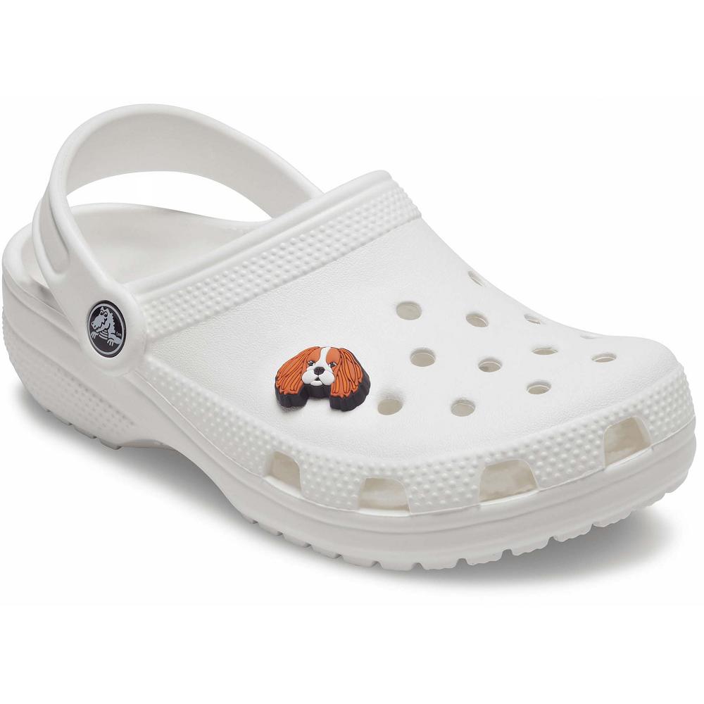 Crocs Cavalier Dog | SRJVFT012