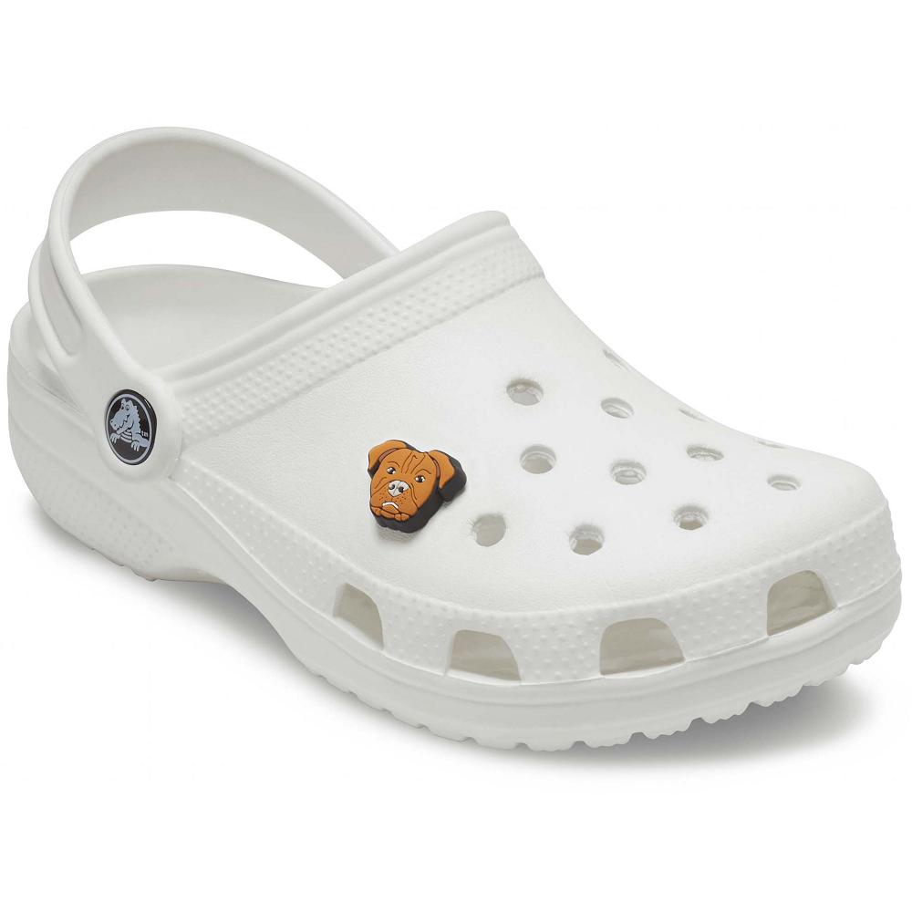 Crocs Pitbull | QEYASI327